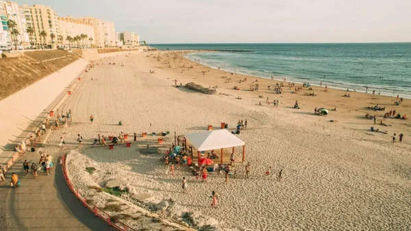 Descubre la Esencia de Jerez de la Frontera: Cuna del Vino, el Flamenco y los Caballos
