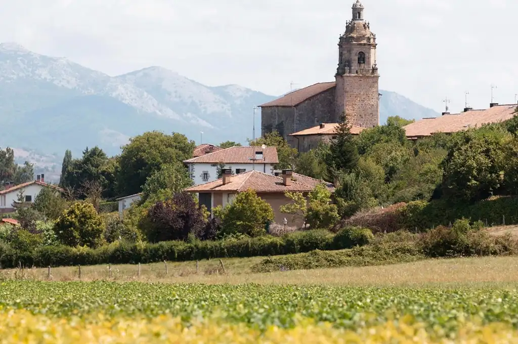 Torrelodones: El Equilibrio Perfecto entre Naturaleza y Confort en Madrid